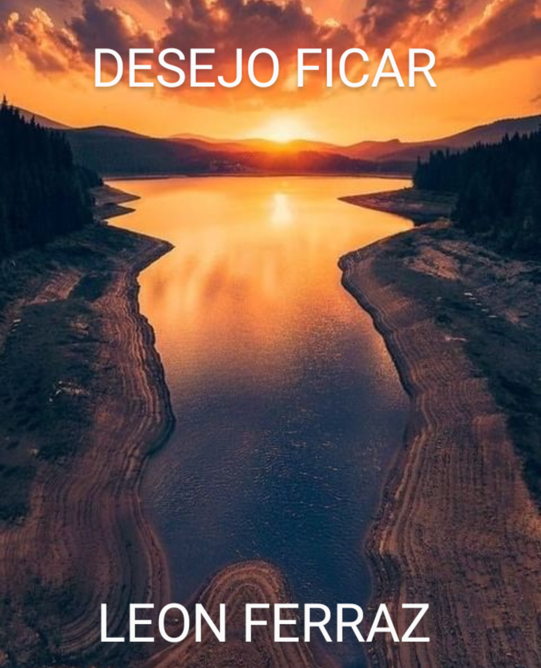 AS GAIVOTAS