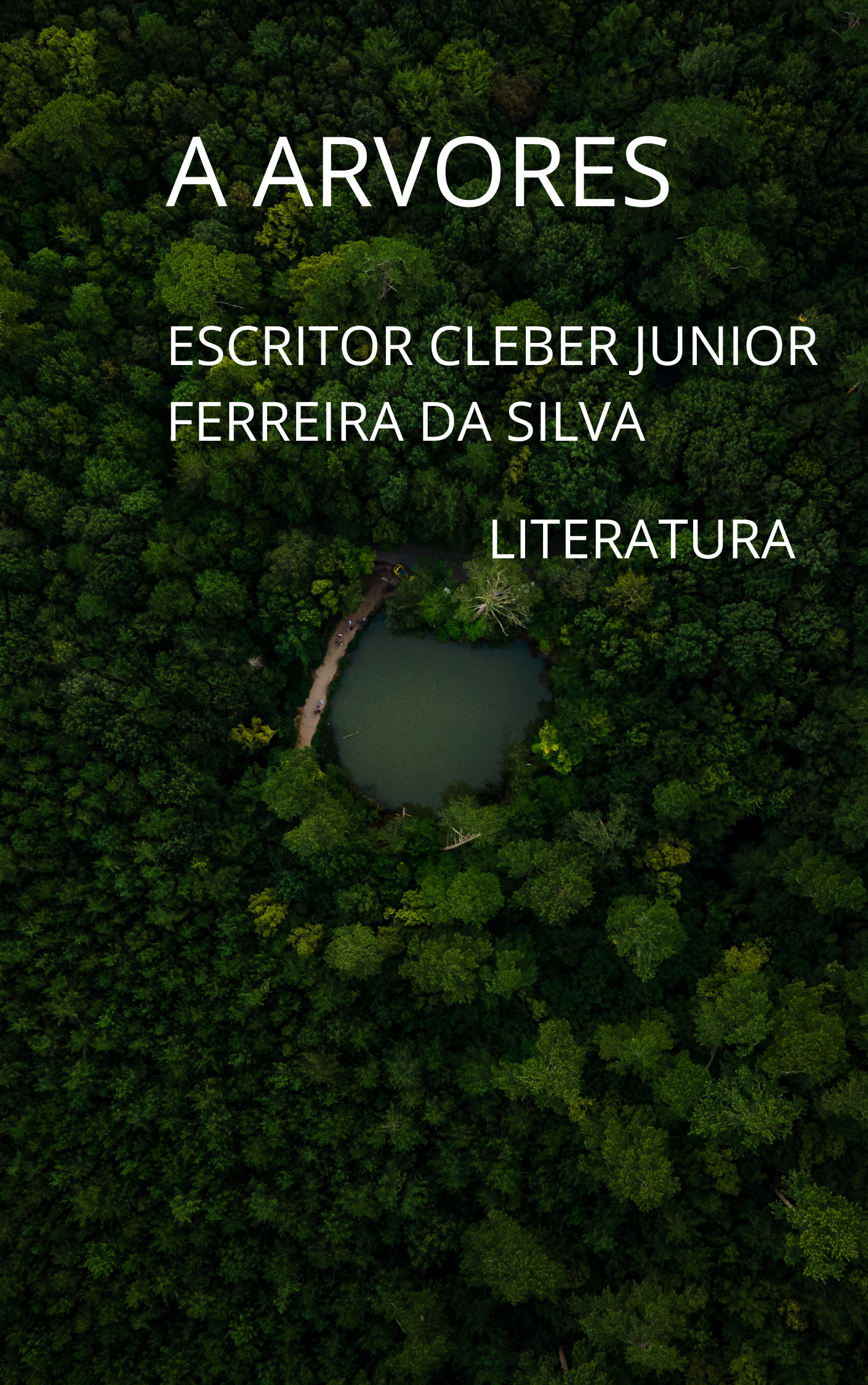 A CIENCIA LITERATURA