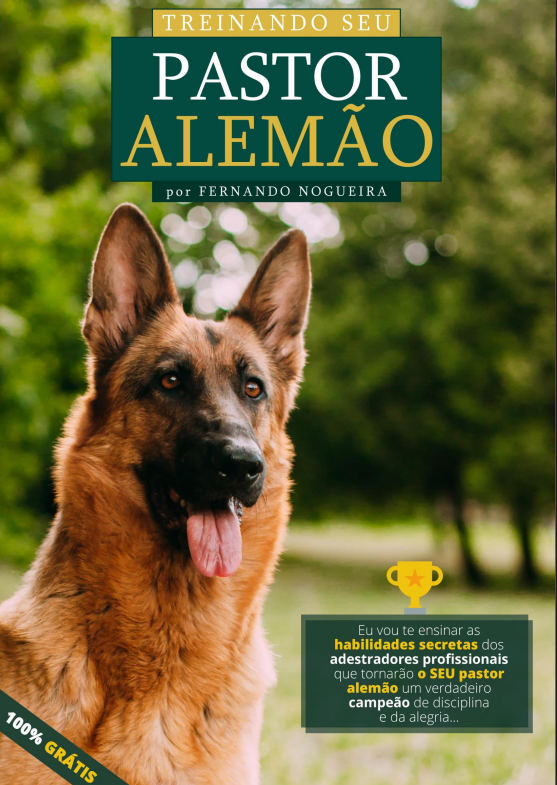 Solar Power Essentials