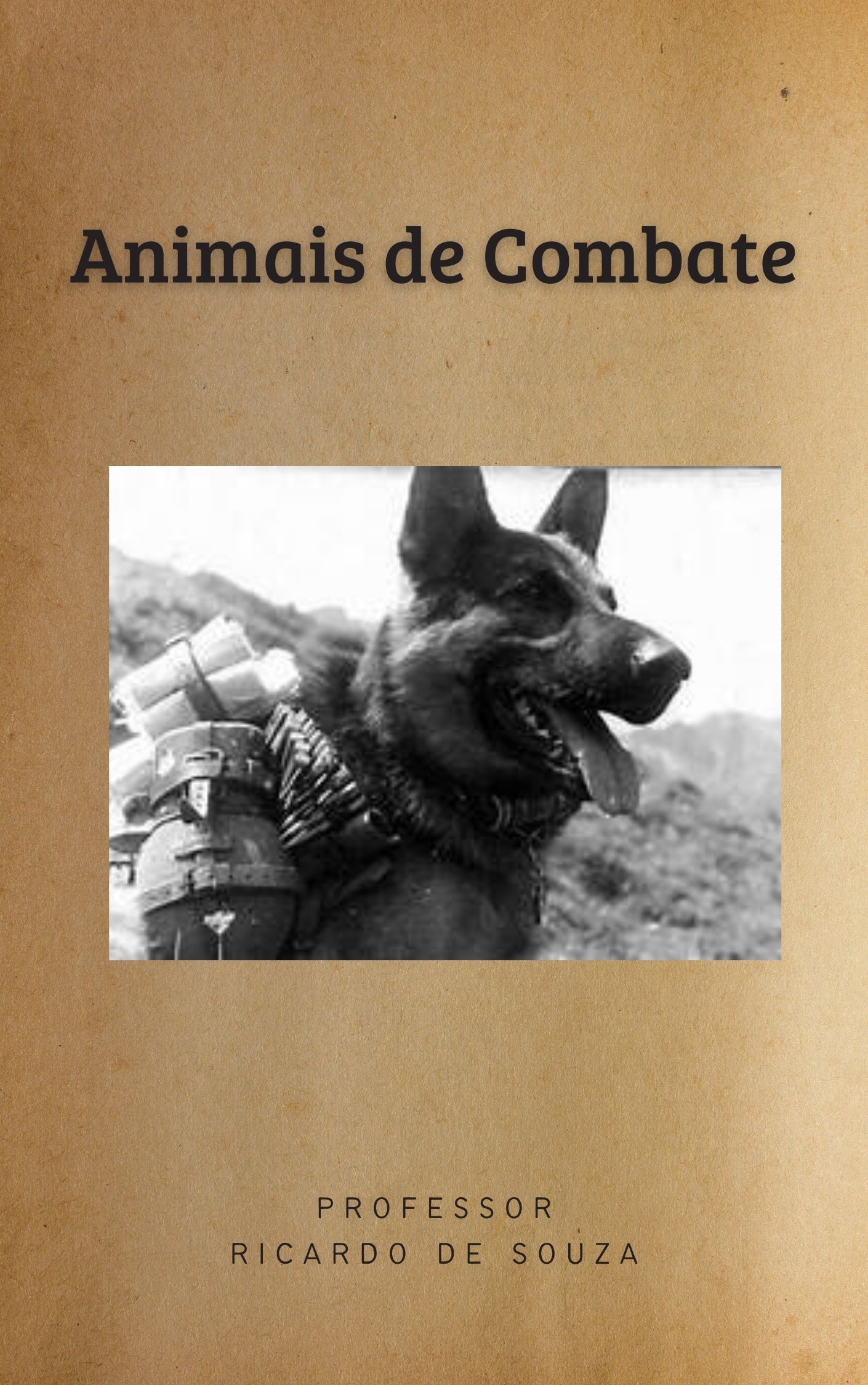 Animais de Combate