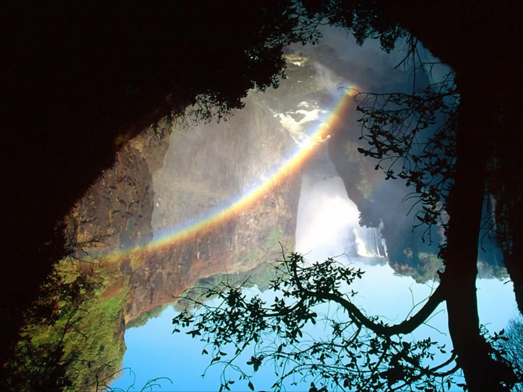 O REINO  DA  MATILHA