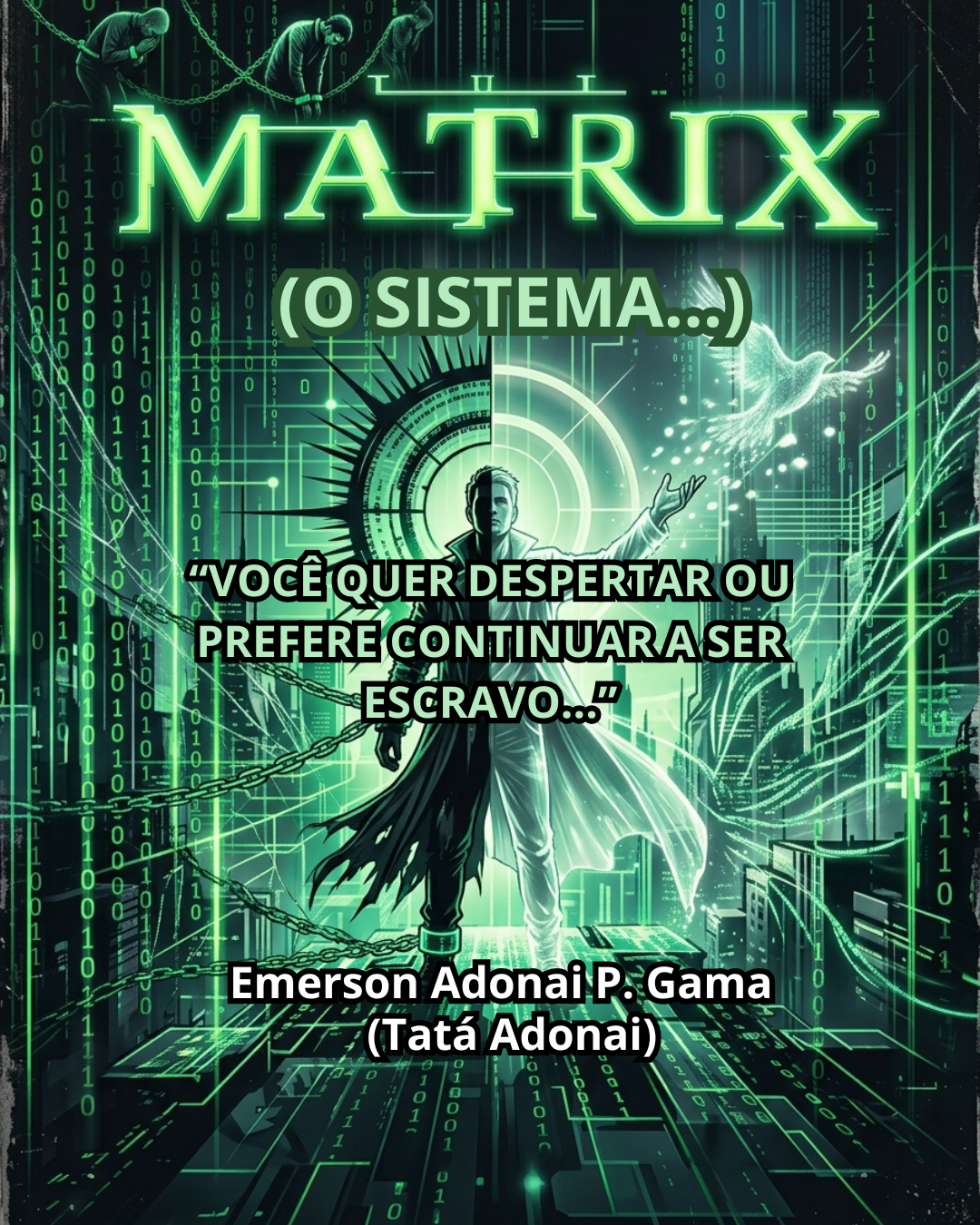 MATRIX (O SISTEMA...)