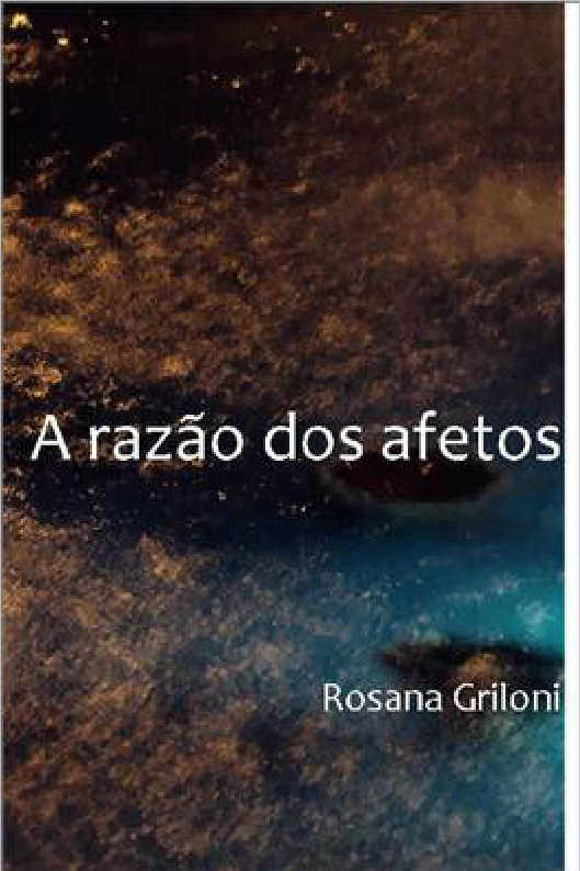 OS PASSARO VOAVO LITERATURA BRASILEIRA 