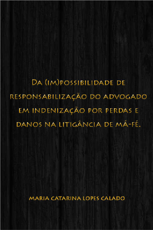 Direitos Humanos e a Cidade - Vol. V