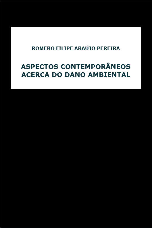 CONCESSO DE SERVIO PBLICO E AGNCIA REGULADORA: Noes Bsicas
