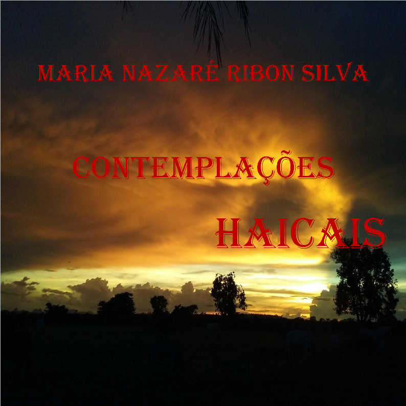 POEMA SEM FIM